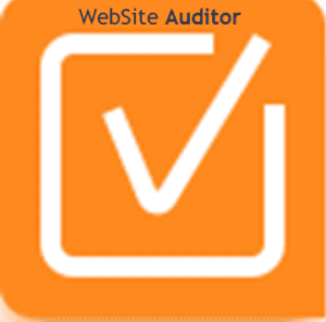 Website Auditor